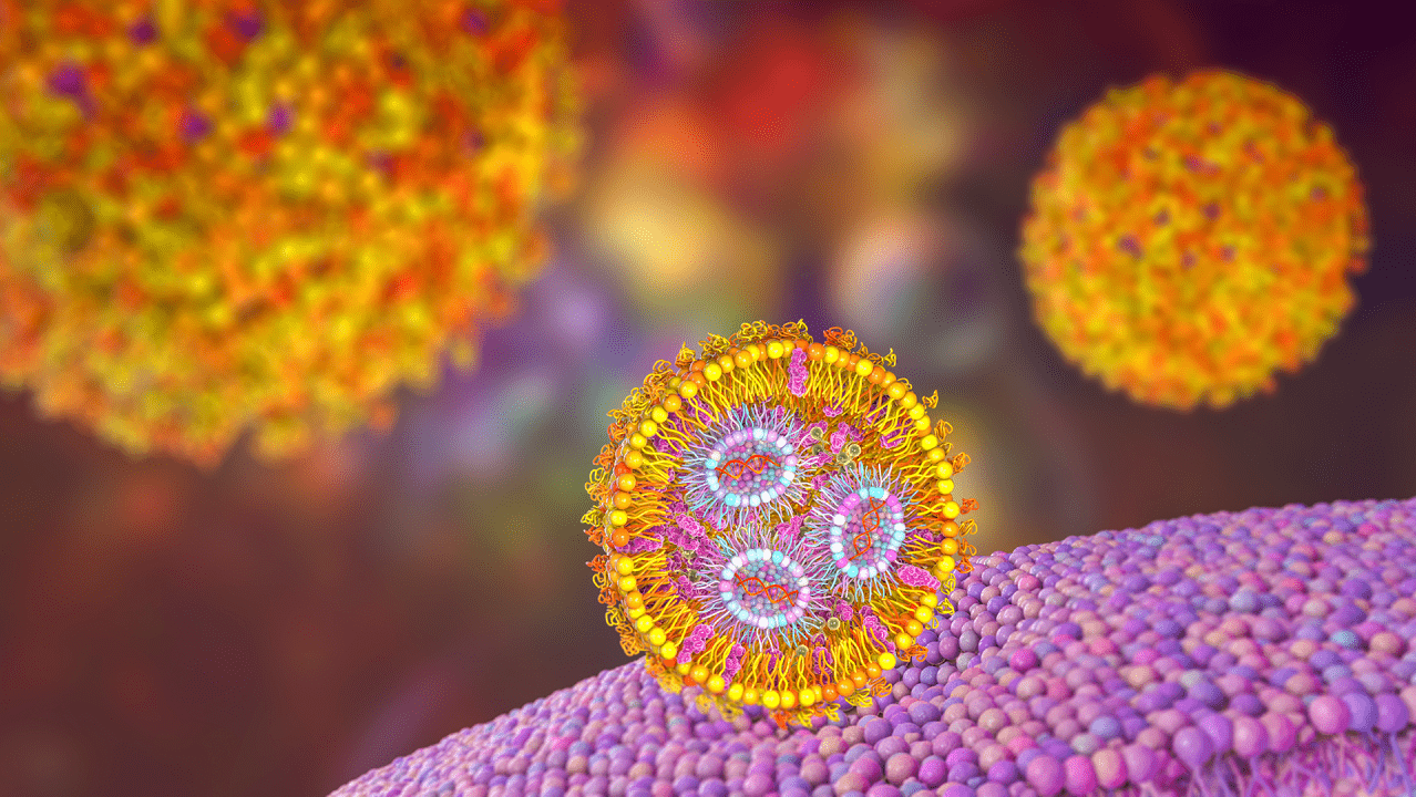 LNP fusion and cellular delivery mechanism