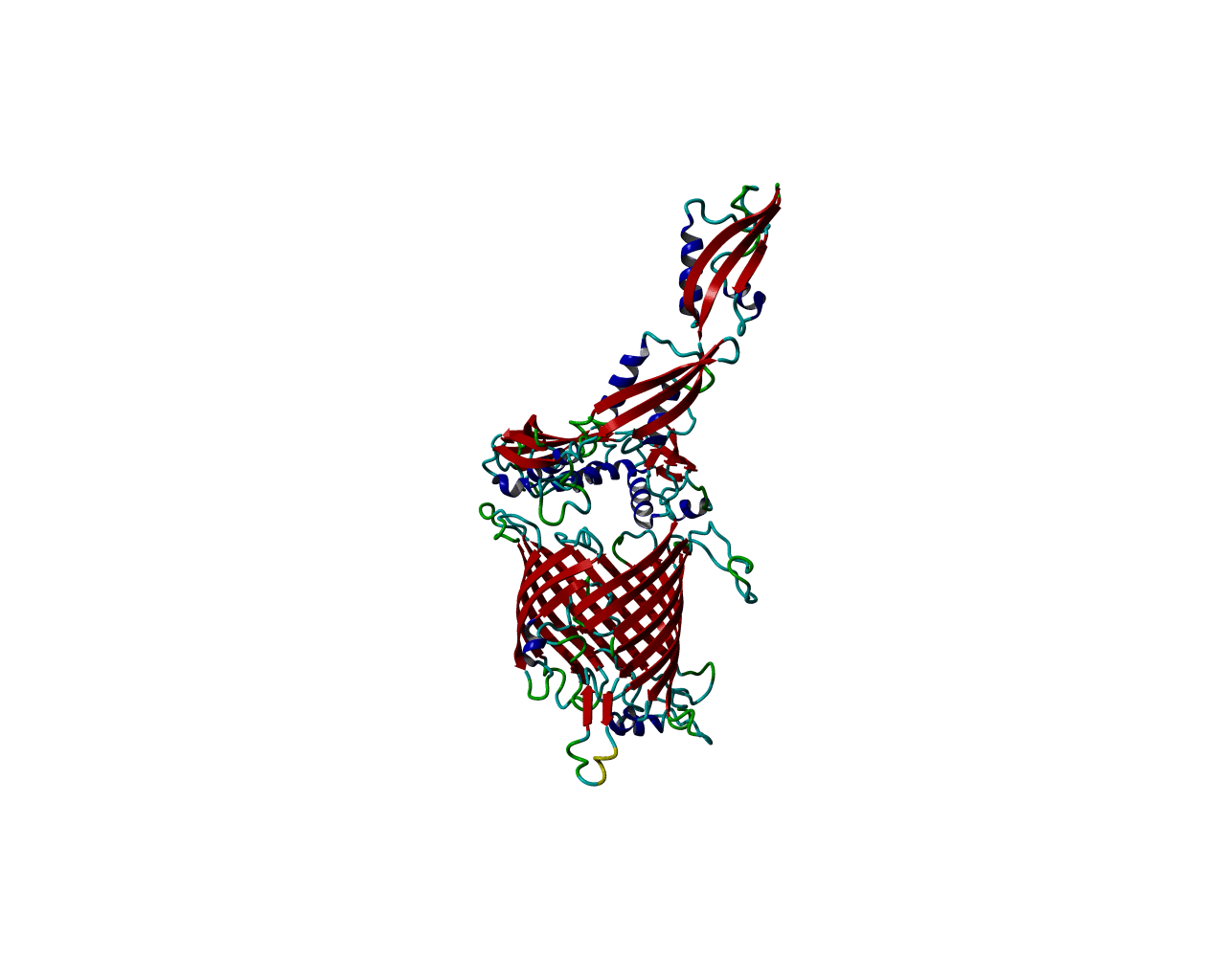 Unrefined 3D render of a BAM complex homology model